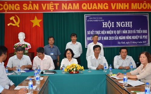 Ngành Nông nghiệp tập trung phát triển các cây trồng chủ lực trong quý I_2019